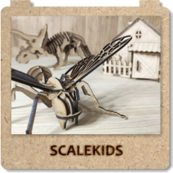 Scalewar Kids